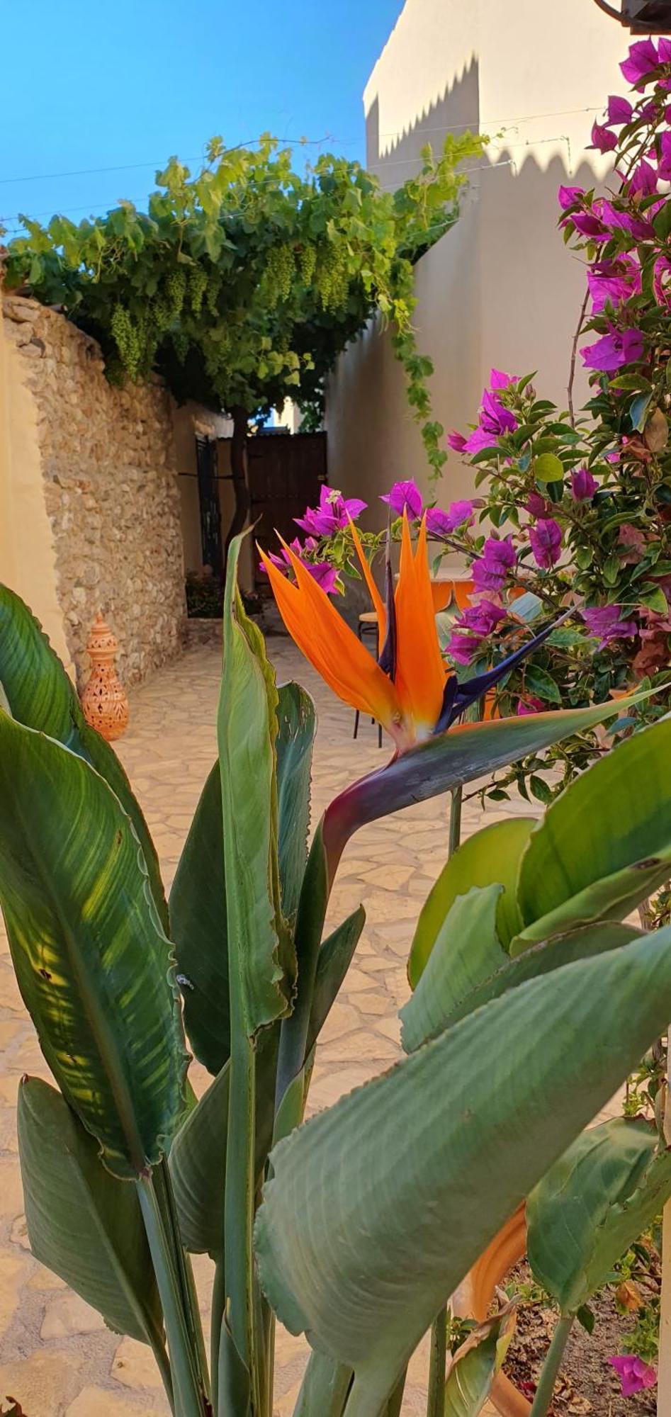Ferienwohnung El Jardin Secreto Oria Exterior foto